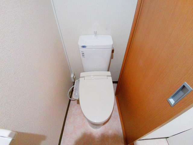 サンビルダー美野丘のトイレ