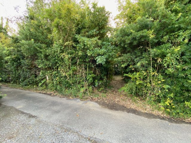 九十九里町片貝　売地の前面道路含む現地写真|中は緑に囲まれた癒し空間