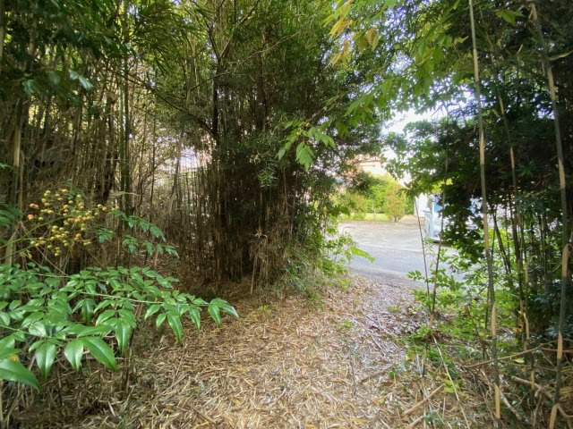 九十九里町片貝　売地の前面道路含む現地写真|緑のカーテン