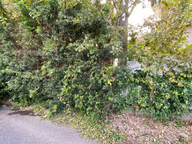 九十九里町片貝　売地の外観|まるで緑の擁壁ですね！