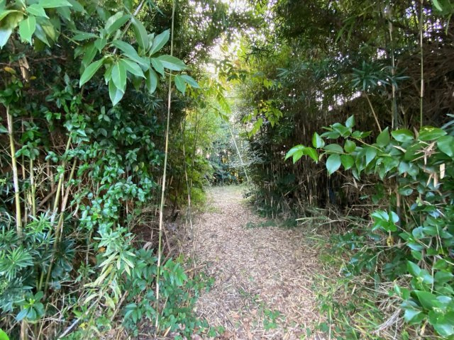 九十九里町片貝　売地の前面道路含む現地写真|中は緑に囲まれた癒し空間