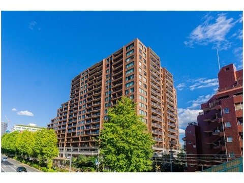 シティテラス目白