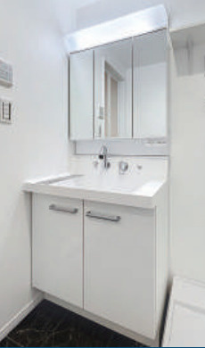 【独立洗面台】 | スカイルーチェ浦和