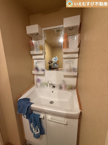 ダイアパレスビッグウィング深谷の独立洗面台