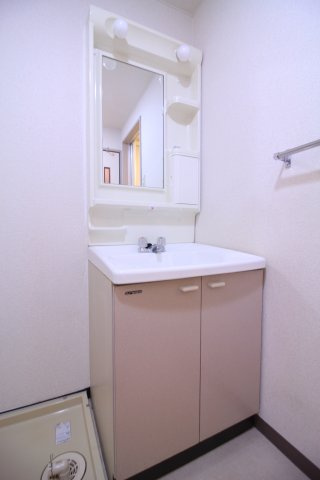 ベイヴィレッジINOUEの洗面所