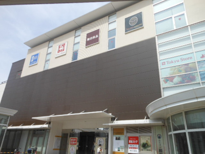 【周辺】 | プリマヴェーラ