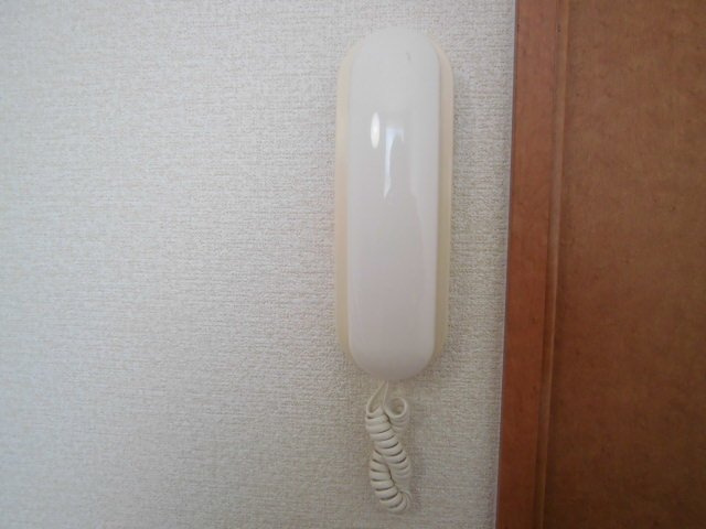 レオパレスルナシャインのその他