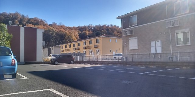 レオネクストパウロウニアのその他