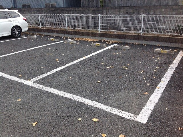 レオネクストクラジヤイのその他