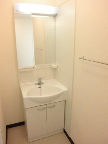 レオネクストロゼットの内装|独立洗面台