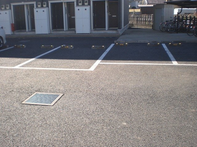 レオネクストセレンディップ川島のその他