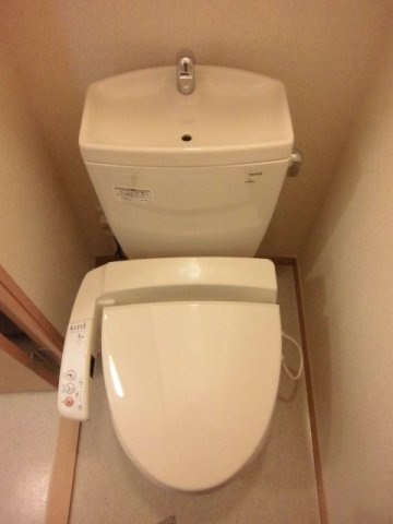 レオネクストセレンディップ川島のその他