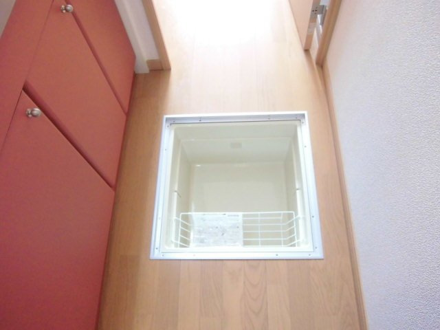 レオネクストセレンディップ川島のその他