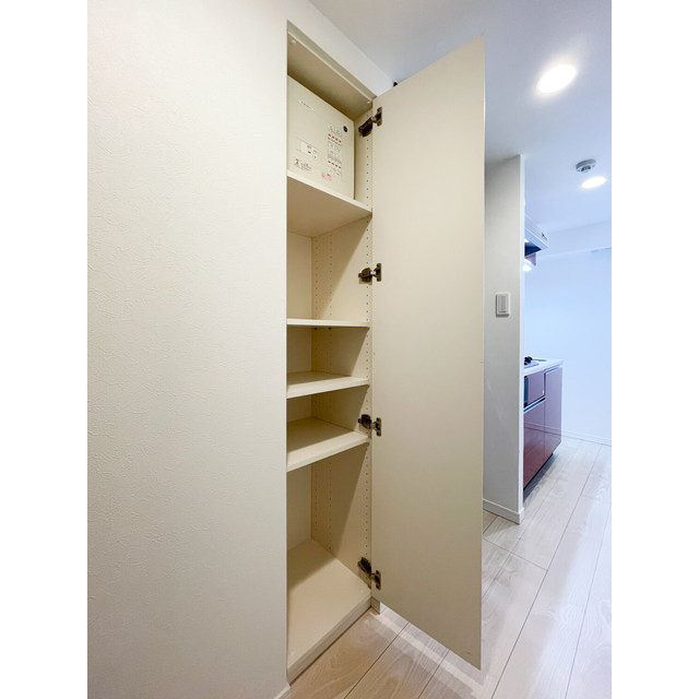 ザ・レジデンス神楽坂Ⅱの収納