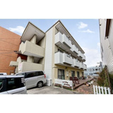 ルナ―ルピナスの画像