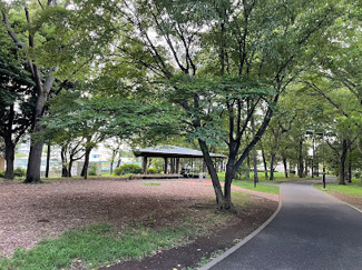 【周辺】 | 東大和グリーンタウン１号棟 | 桜が丘中央公園まで徒歩１０分