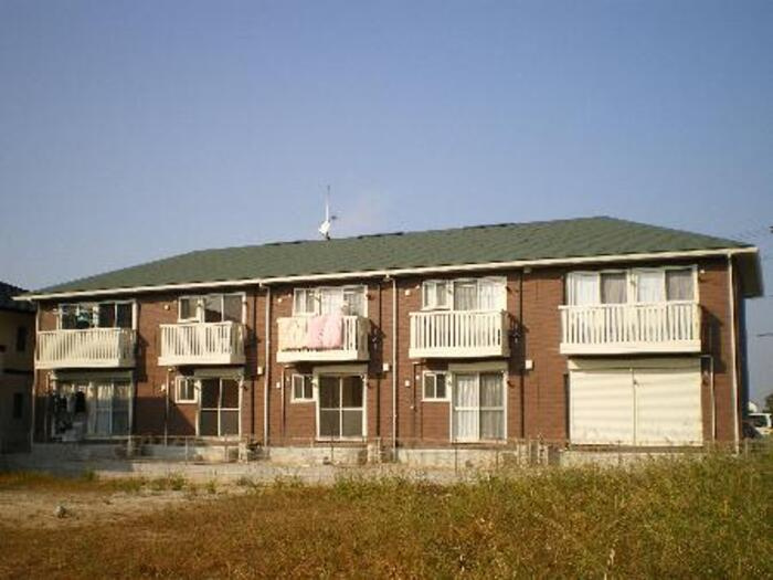 パテル・ヴィオラ