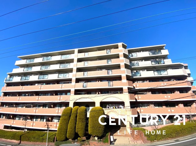 ダイアパレスつづきの丘の画像