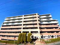 ダイアパレスつづきの丘の画像