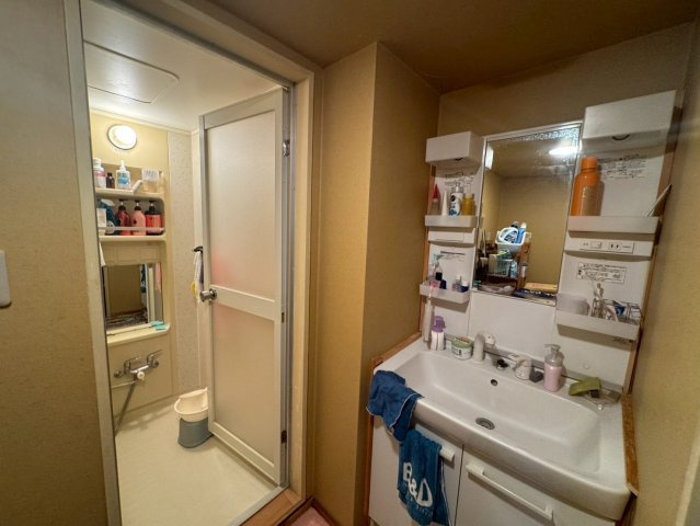 -三丁目不動産-　ダイアパレスビッグウィング深谷の洗面所