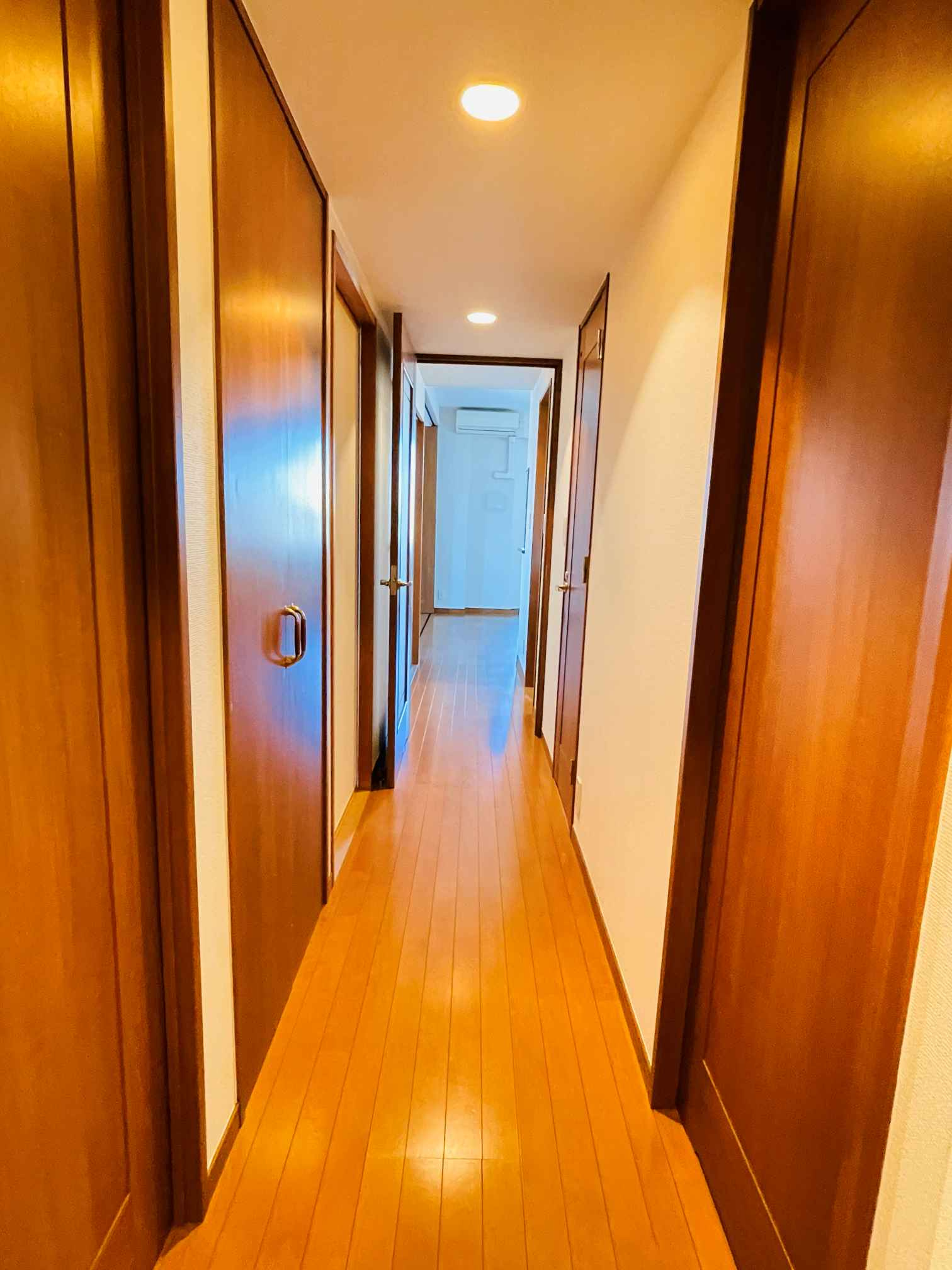 レクセルマンション福生のその他|廊下