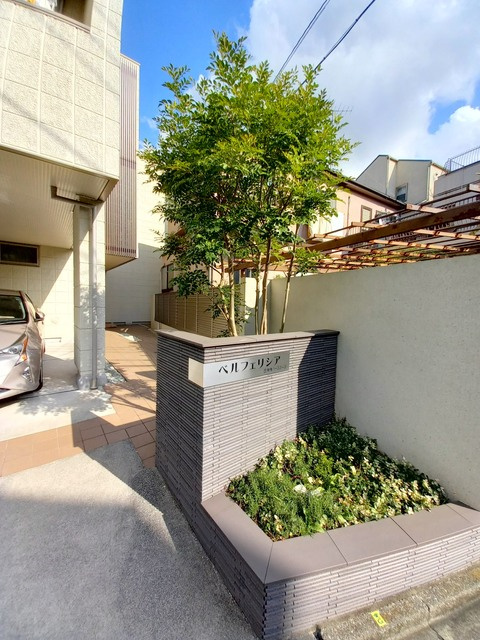 ベルフェリシアのその他|植栽