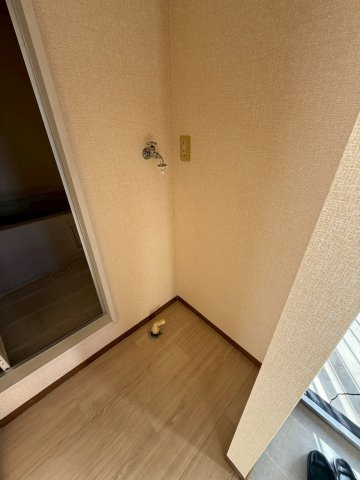 ヴェルドミールのその他