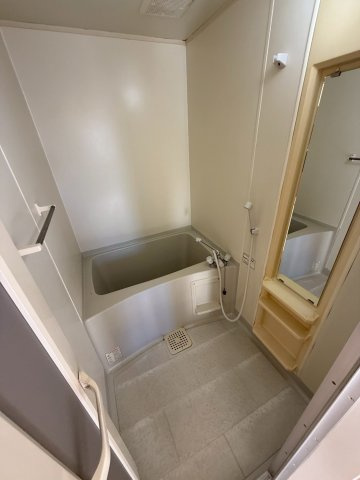 ヴェルドミールの浴室