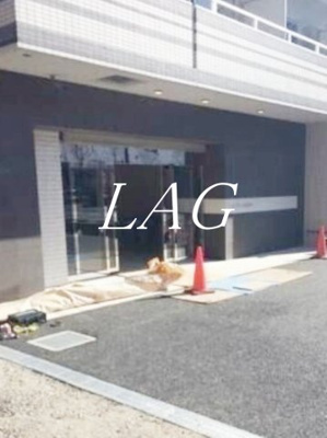 【エントランス】 | リヴシティ武蔵浦和 | エントランスです。