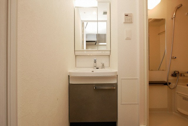 グランカリテ大正ドマーニの洗面所