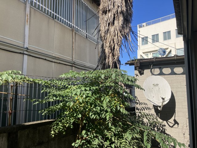 川崎市多摩区枡形３丁目のアパートの展望