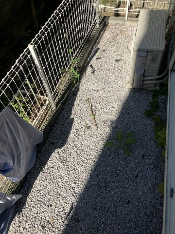 川崎市多摩区枡形３丁目のアパートの庭