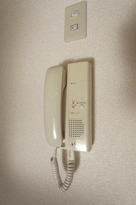 【セキュリティ】 | アンダーフォレスト |  