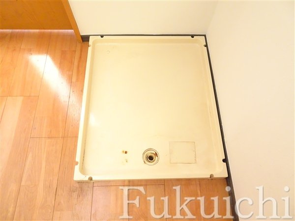 サンフラットセイジのその他