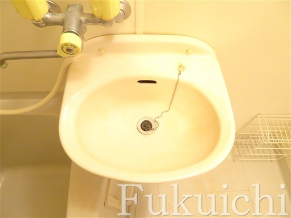 サンフラットセイジの洗面所