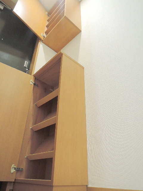 メゾンＤＡＲＣ・ＥＮ・ＣＩＥＬ　メゾンダルカンシエールの玄関|靴もたくさん入る下駄箱