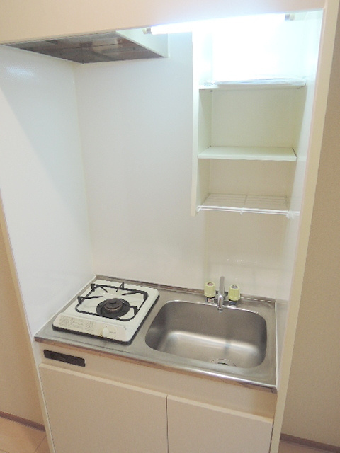 メゾンＤＡＲＣ・ＥＮ・ＣＩＥＬ　メゾンダルカンシエールのキッチン|一人暮らしには充分なガスキッチン