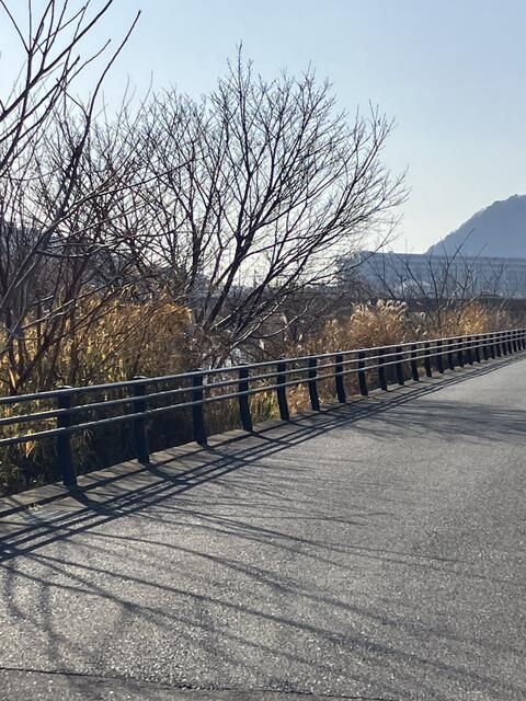 南原４丁目貸倉庫の周辺