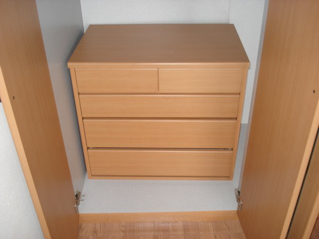 ＷｅｓｔＳｉｄｅひたち野Ⅲの収納|収納内タンス