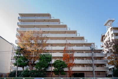 【その他】 | コンチェルト杉並