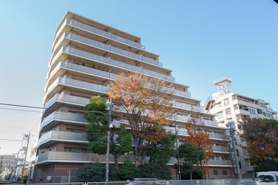 【外観】 | コンチェルト杉並