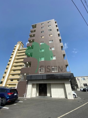 【外観】 | レブリアント板付 | 外観です。