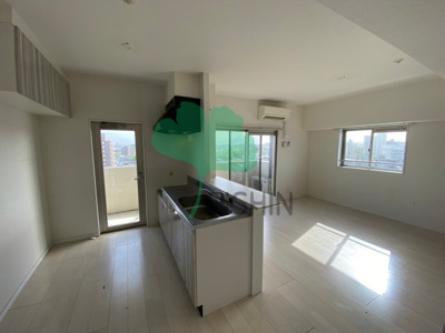  | レブリアント板付