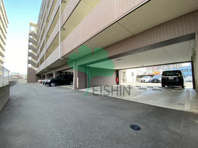  | レブリアント板付