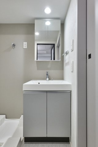 プラウドフラット錦糸町ウエストの洗面所|参考写真