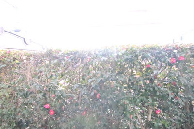 初期費用減額キャンペーン対象物件です♪