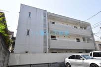 Ｒａｆｆｉｅ竹澤の画像