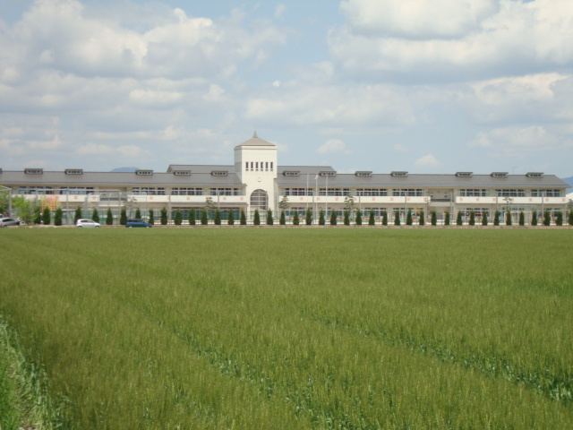 ファインコート北野Ⅰの周辺|北野小学校まで250ｍ