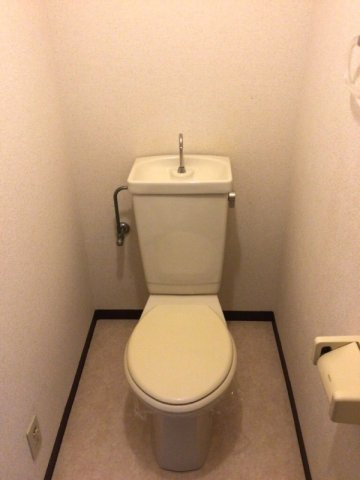 泉北郡忠岡町忠岡北２丁目の賃貸マンションのトイレ|落ち着いたトイレです