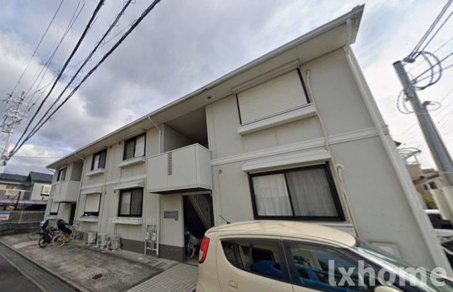 グレイスイケノキタ